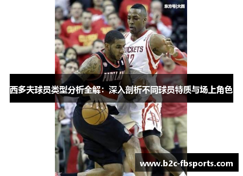 西多夫球员类型分析全解:深入剖析不同球员特质与场上角色 西多夫球员类型分析全解:深入剖析不同球员特质与场上角色