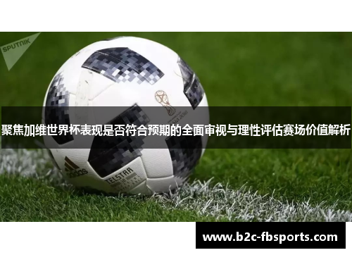 聚焦加维世界杯表现是否符合预期的全面审视与理性评估赛场价值解析