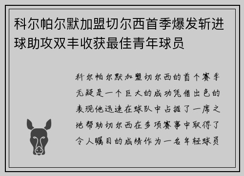 科尔帕尔默加盟切尔西首季爆发斩进球助攻双丰收获最佳青年球员